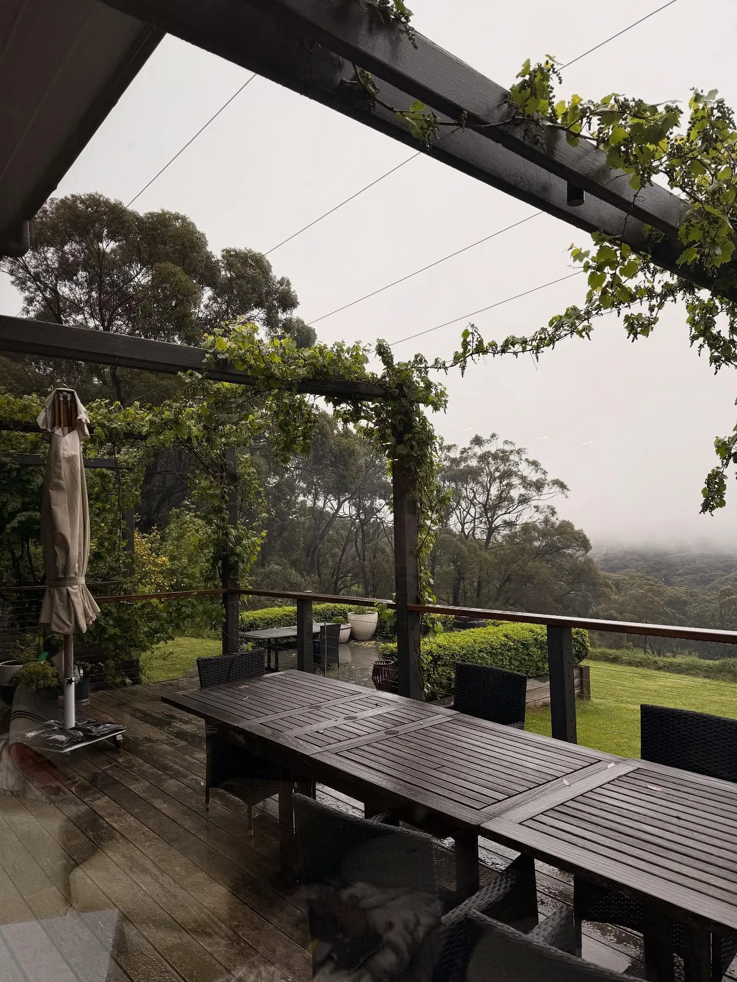 Covered outdoor cellar door deck with dining furniture and vine pergola, overlooking rolling hills in the rain